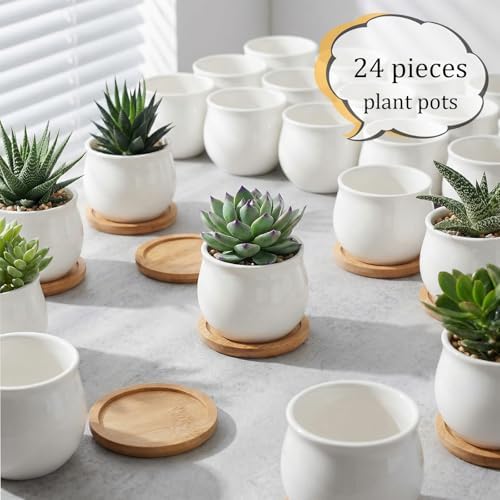 SHECIPIN 24 Pcs 2.5 Inch Small Succulent Pots with Drainage & Bamboo Trays - Assorted Small Succulent Planters Bulk for Home Office Garden Decor