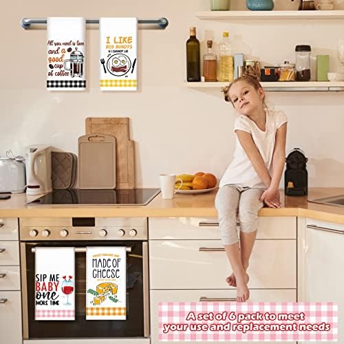 Redbaker 6 Pcs Funny Kitchen Towels with Sayings, Gingham Dish Towels