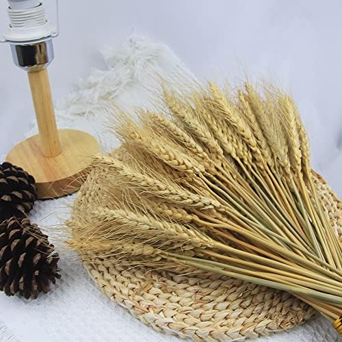 100 Stems Dried Wheat Stalks for Decor Artificial Dried Wheat Sheaves Faux Wheat Stems Natural Wheat Stalks Bundle for Wedding Party Table Centerpiece Harvest Wreath Boho Farmhouse DIY