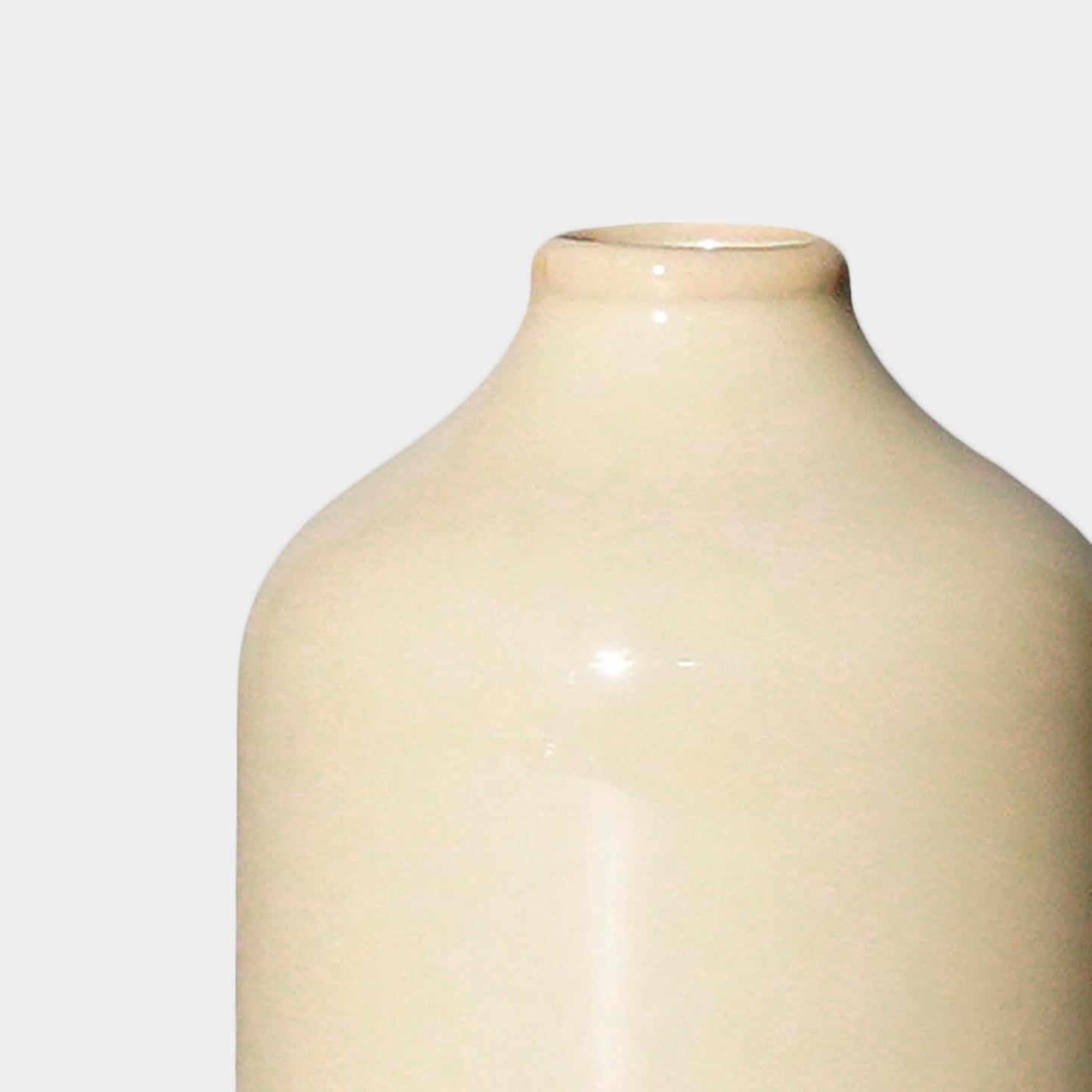 Modern Vase for Pampas Grass / Beige / 5 Inch