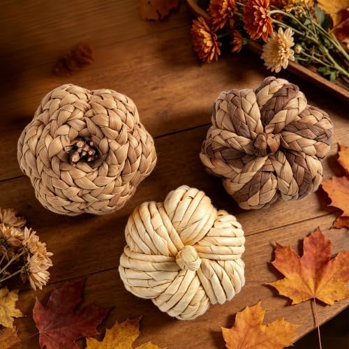 Lulu Home Set of 3 Handwoven Pumpkins Decor