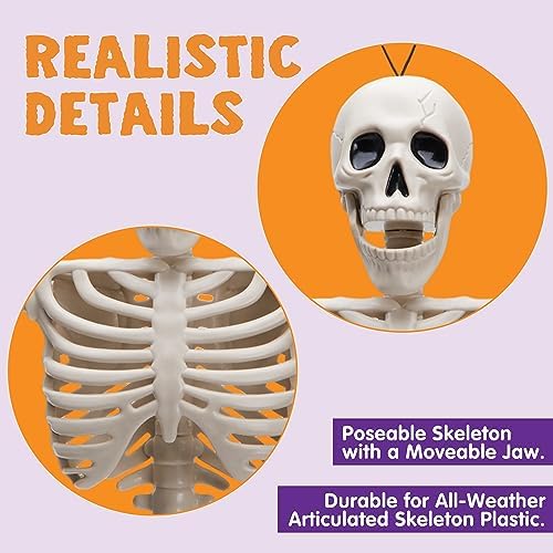 JOYIN 2PCS 16" Halloween Skeleton Decor, Full Body Stayable Movable Joints, Posable Hanging Skeletons for Halloween Decoration, Yard, Graveyard, Haunted House Props, Spooky Scene Party Favor