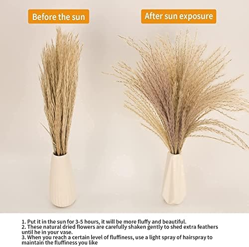 65PCS Pampas Grass Decor, Including pompas Floral, Reed Dried Grass and Bunny Tails Dried Flowers, Natural Dried Pampas