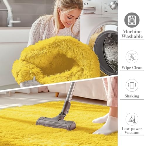 OLANLY 6x9 Machine Washable Large Area Rugs for Living Room, Bedroom, Soft Fluffy Shaggy Bedside Rug, Indoor Floor