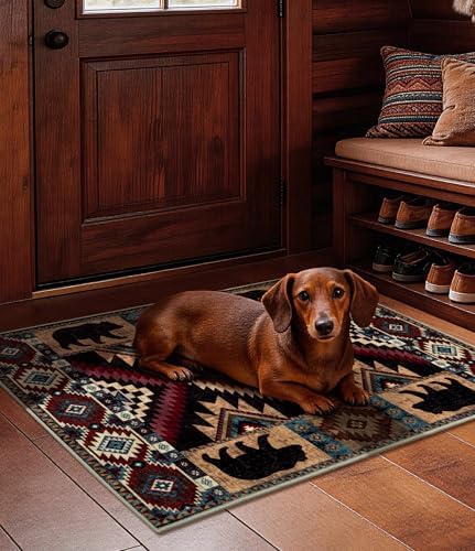 YIHOUSE Washable Western Cabin Area Rug 2x3 Entryway