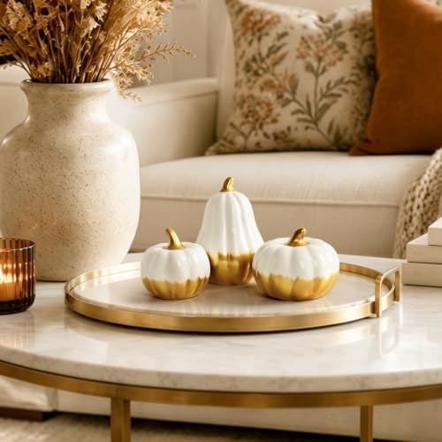 AELS Ceramic Pumpkins Fall Decor Set of 3, White Gold Tabletop Decorations