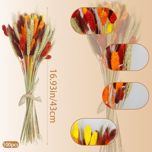 100Pcs Bunny Tail Dried Flowers Dried Fall Flowers Pampas Grass Decor