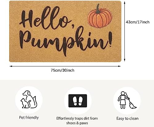 Hello-Pumpkin-Welcome-Doormat Fall-Outdoor Holiday Non-Slip-Mat Home Decor