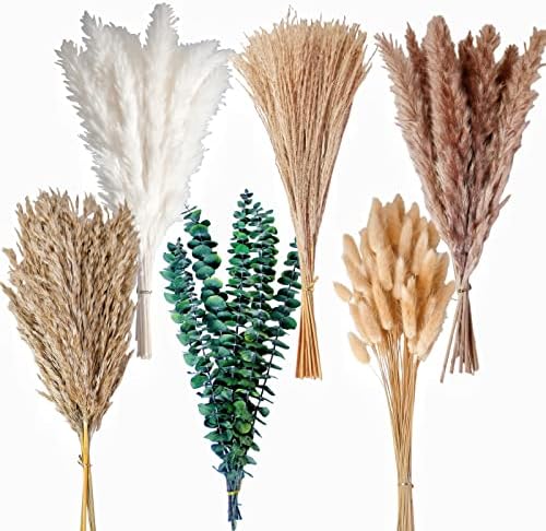 Bunny Tails Dried Flowers / 14-17inch Mixed / Set of 110