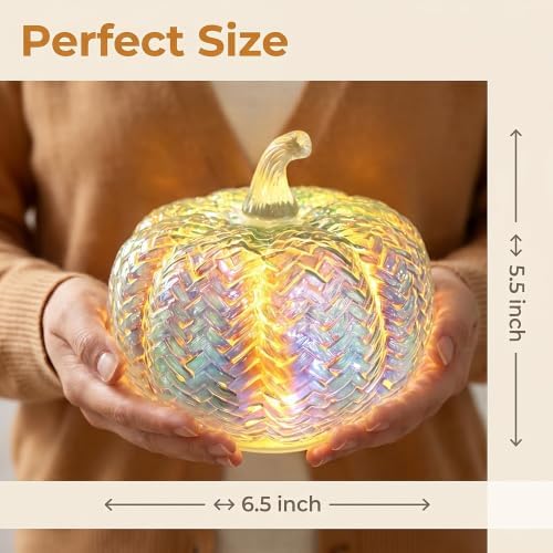 Fall Decor,Mercury Glass Light up Pumpkin Lights with Timer(Colorful)
