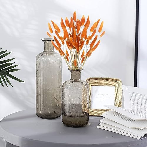 Dried Bunny Tails Flowers Lagurus Ovatus Orange Pampas Grass Natural Dried Floral Arrangement Dry Flowers for Halloween Christmas Boho Decor Home Wedding DIY Craft Decoration