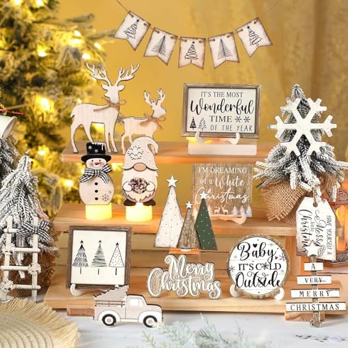 Shellwei 20 Pcs Neutral Christmas Tiered Tray Decor, Winter Farmhouse Signs