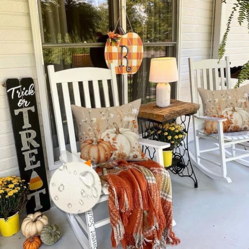 Fall Pumpkin Flower Brown Pillow Covers 20x20 Set of 2 Decor