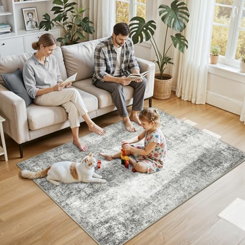 RELEANY Washable 4'x6' Abstract Area Rug for Living Room Gray White