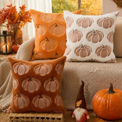DFXSZ Fall Pillow Covers 20x20 White Pumpkin Plush Autumn Home Decor 093C20
