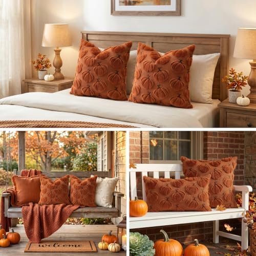 Artscope Pumpkin Fall Throw Pillow Covers 18x18 Set of 2, Autumn Soft Plush Faux Fur Decoration Cushion Covers for Thanksgiving Holiday Couch Sofa Bedroom Home Decor-Rust