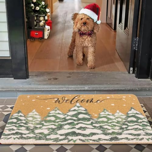 Christmas-Welcome-Doormat-Winter-Outdoor - Snowflake-Pine-Mat-Home-Decor