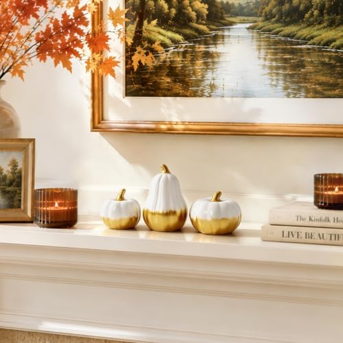 AELS Ceramic Pumpkins Fall Decor Set of 3, White Gold Tabletop Decorations