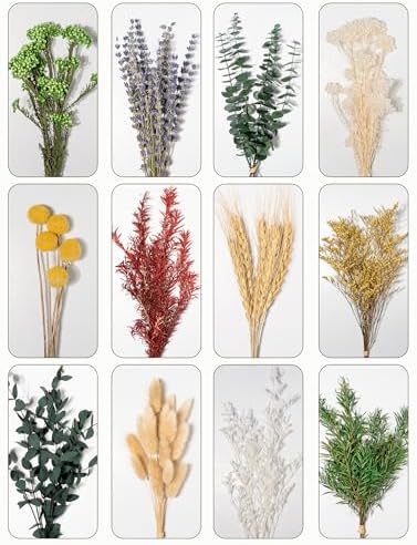 12 Kind Dried Flowers Set - Including Lavender, Eucalyptus, Wheat, Bunny Tails, Handmade for DIY Crafts, Vase Decor, Wedding/Home/Birthday/Seasonal Decor