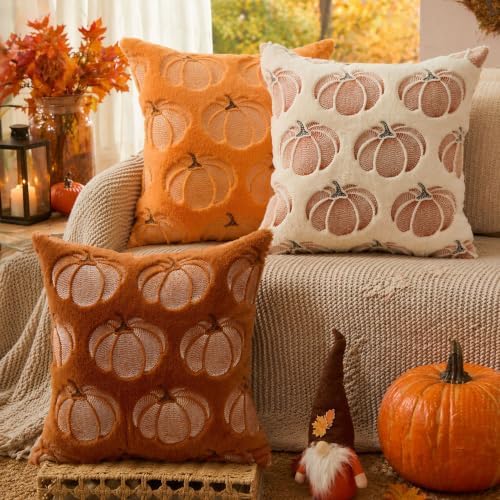 DFXSZ Fall Pillow Covers 20x20 Rust Pumpkin Plush Autumn Home Decor 093B20