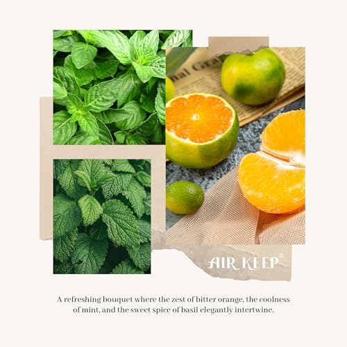 Airkeep Reed Diffuser Set,3.38 fl oz (100 ml) - Lime Basil Oil Diffusers with 8 Reed Sticks, Home Fragrance Reed