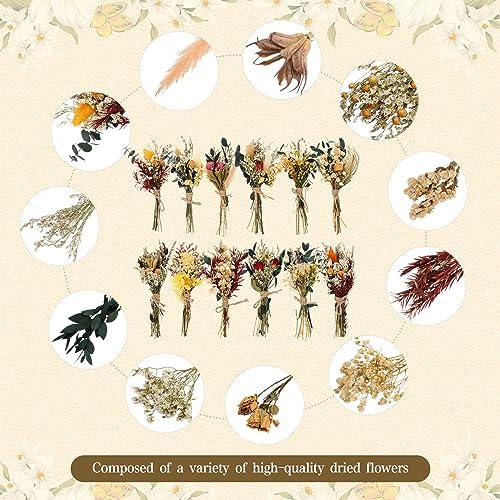 Layhit 12 Pcs Mini Dried Flower Bouquet Boho for Wedding,Bright