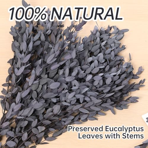 Dried Eucalyptus Leaves Real Preserved Stems, Fresh Eucalyptus Garland Branches for Shower, Dried Plant Live Bundle Purple Leaves for Wedding Wreath Party Home Fragrance Vase Décor