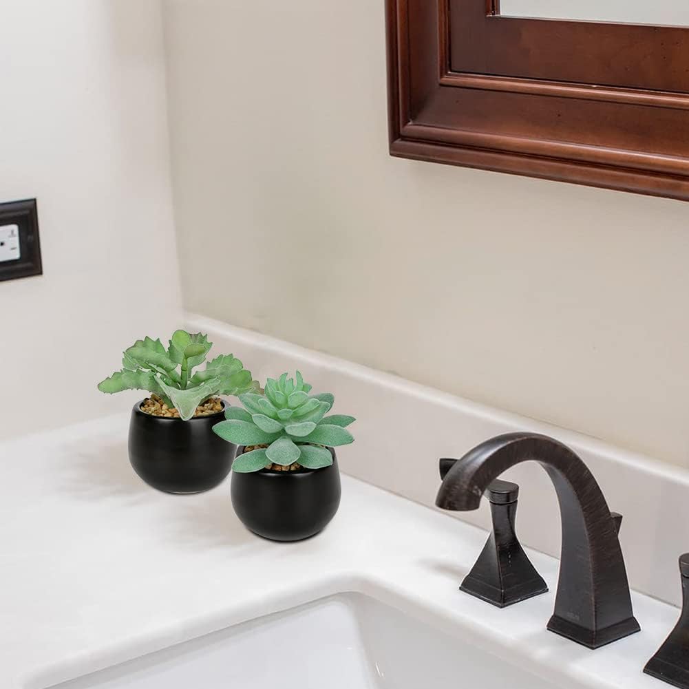 Artificial Succulents Fake Plants Mini Succulents Potted in Ceramic / Type #2 / Black / Set of 3