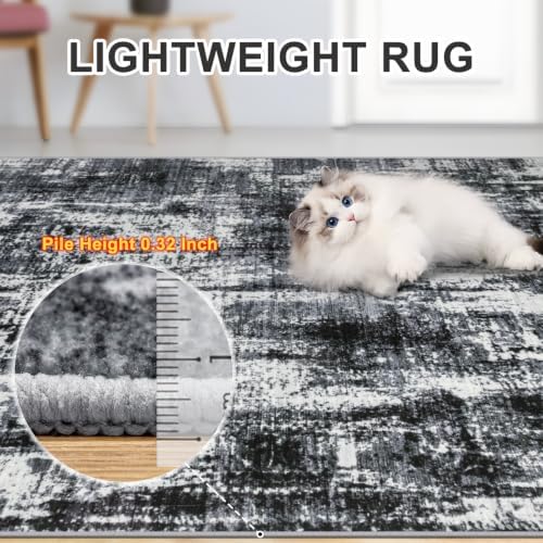 PLHXFR 10x14 Area Rug Living Room: Modern Abstract Washable Carpet Black