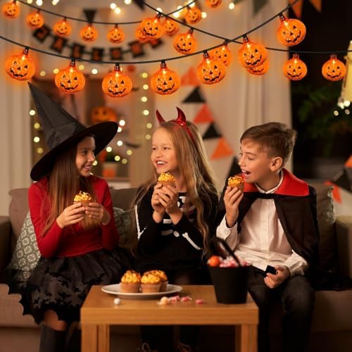 8.5FT LED Halloween Lights Pumpkin String Lights with 10 Smiling Jack O Lantern Pumpkin Lights, LED Jack O Lantern for Home Party Yard Porch Indoor Outdoor Halloween Decorations, 0.07W