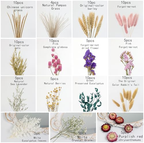DIY Dried Flower Set, Dried Flowers for Vases, Bulk Dried Flowers, Bouquet Arrangements, Daisies. (Pink)