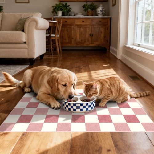 Front Door Mat Outside Entrance - 2x3 Cute Pink White Checkered Rug