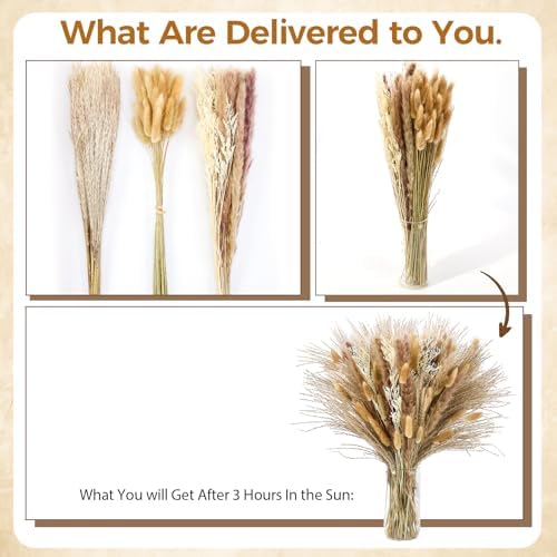 Pampas Grass Decor, Dried Flowers Bouquet for Boho Home Farmhouse Decor