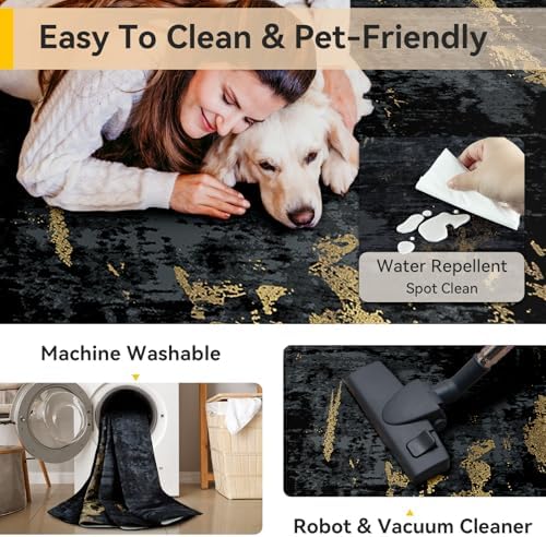 RELEANY Washable 4'x6' Abstract Area Rug for Living Room Black Gold