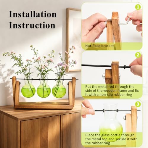 XXXFLOWER Plant Terrarium Kit with Wooden Stand 3 Gradient Green Bulb Vases