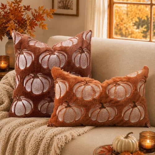 DFXSZ Fall Pillow Covers 12x20 Rust Pumpkin Plush Autumn Home Decor 093B12