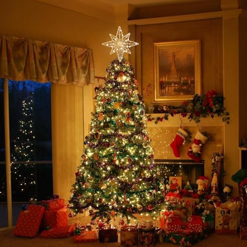 hogardeck Christmas Tree Topper, 12 Inches Lighted Gold Glittered 8-Point Star Tree Topper, 30 LED Sparkling Tree Toppers Christmas Decorations, Battery Powered Timer Xmas Treetop Star Decor