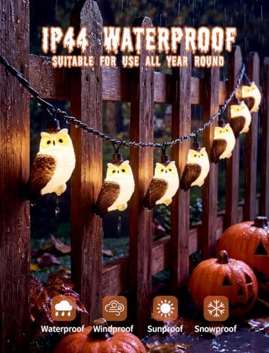 12FT Halloween Owl String Lights, 20L LED Plug in Owl Lights