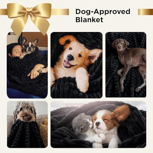 Bedsure Soft Black Throw Blanket for Couch Decor Gifts 50"x70"