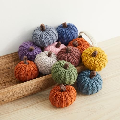 Mini Knit Pumpkins Set of 12, Warm Pumpkin Colors (Mini Assorted Set 12)