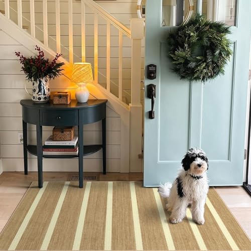 Striped 3x5 Entry Rug, Washable Indoor Outdoor Mats for Front Door