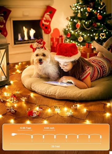 Minetom LED Christmas Mini Lights, 39 Feet 100 LED Clear Bulbs String Lights with 8 Light Modes, Connectable Fairy Lights Plug in for Outdoor Xmas Trees Garland Wreath Holiday Decorations, Warm White