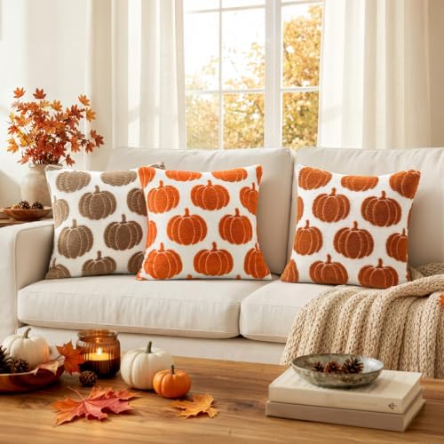 Fall Pumpkin Pillow Covers Fall Decor 20x20 Set of 2 Rust