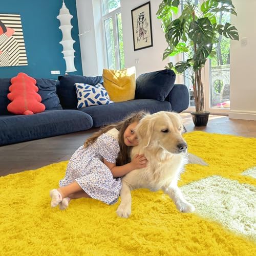 OLANLY 6x9 Machine Washable Large Area Rugs for Living Room, Bedroom, Soft Fluffy Shaggy Bedside Rug, Indoor Floor