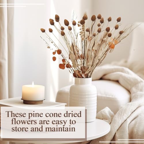 WILLBOND 100pcs Fall Dried Flowers Mini Pine Cones with Stems 15.7in