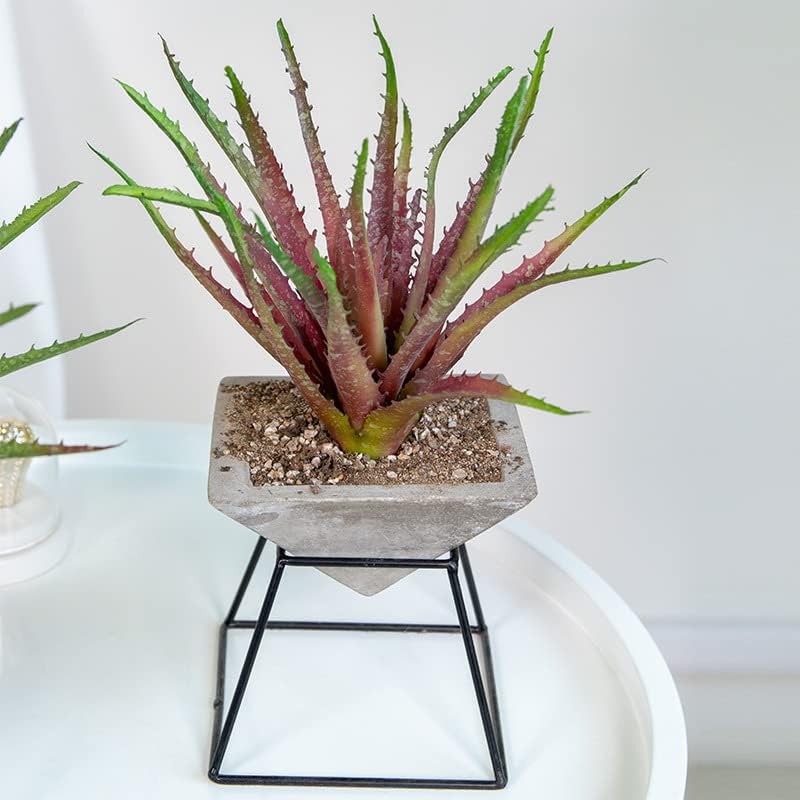 1 Piece Fake Succulent Plant Artificial Succulent Aloe Plant Realistic Texture Plastic / Green, Red