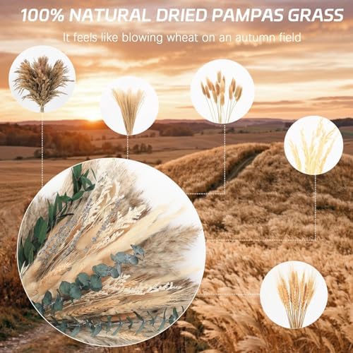 N&T NETING Boho Dried Pampas Grass Set for DIY Crafts Wedding Centerpieces