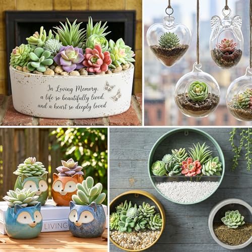 Artificial Succulents Mini Fake Plants Unpotted Faux Succulent for Craft / Set of 12