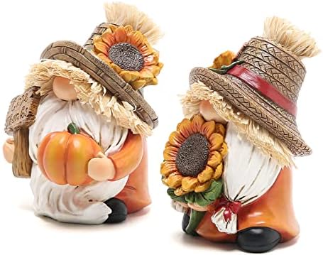 Hodao 2pcs Thanksgiving Gnomes Decor, Fall Decorations for Home