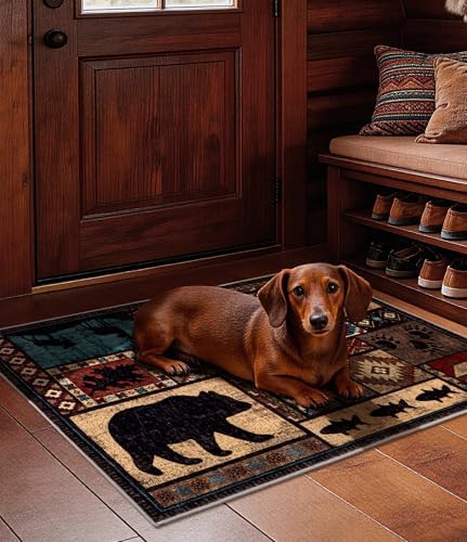 YIHOUSE Washable Rustic Cabin Area Rug 2 x 3 Entryway